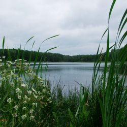 Jezioro w Józefowie
