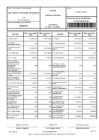 DPS Browina.pdf